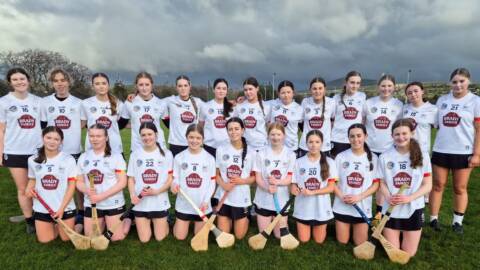 Kildare Camogie