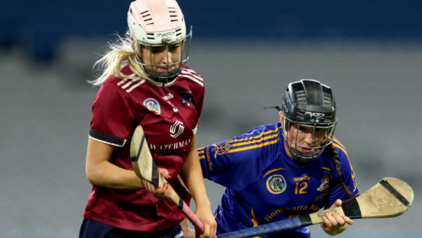 Gaelic games’ ACL Injury Research Project Administrator & Player Survey