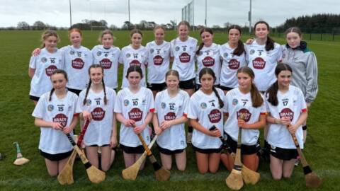 Kildare Camogie