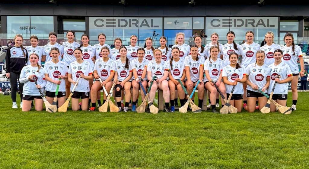 Lilywhites surge to Leinster Minor B glory