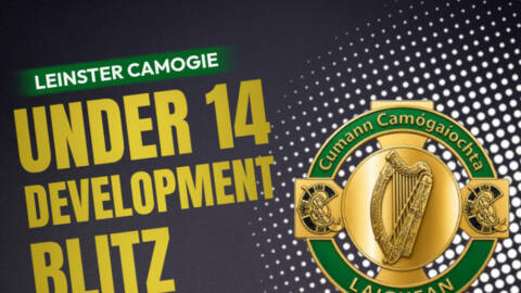 Kildare Camogie