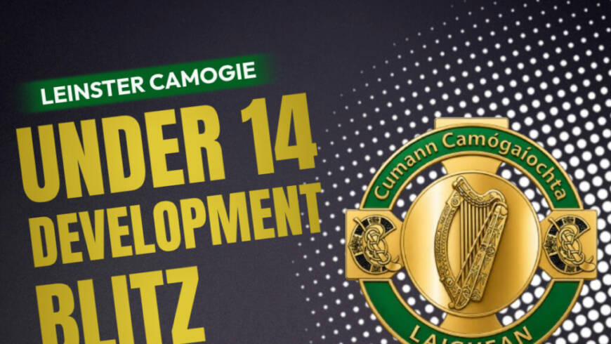 Annual Leinster Camogie Under 14 Development Blitz