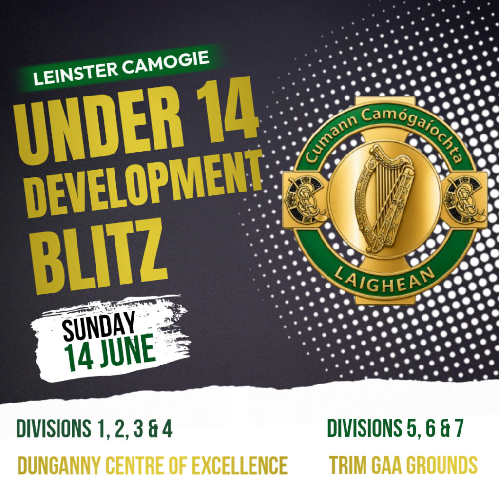 Annual Leinster Camogie Under 14 Development Blitz